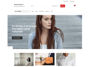 Online Store